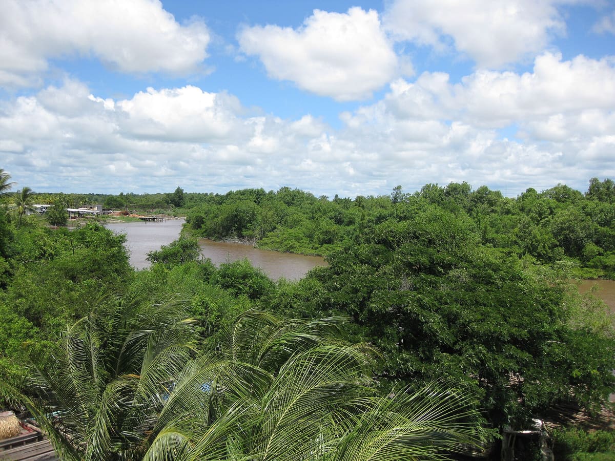 The Canje River, which meets the Berbice at New Amsterdam.