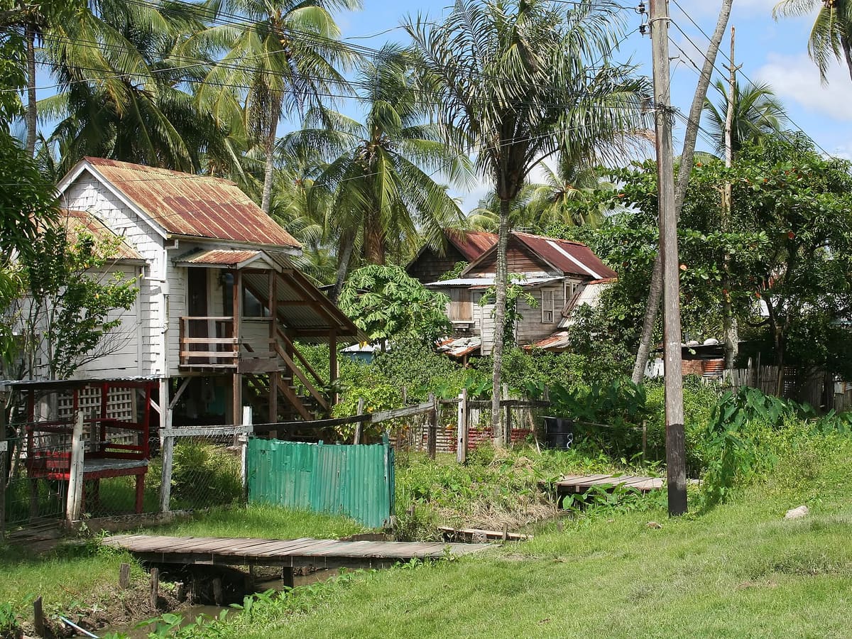 Houses in New Amsterdam, typical of the town's architecture.